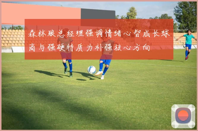 森林狼总经理强调情绪心智成长球商与强硬特质为补强核心方向